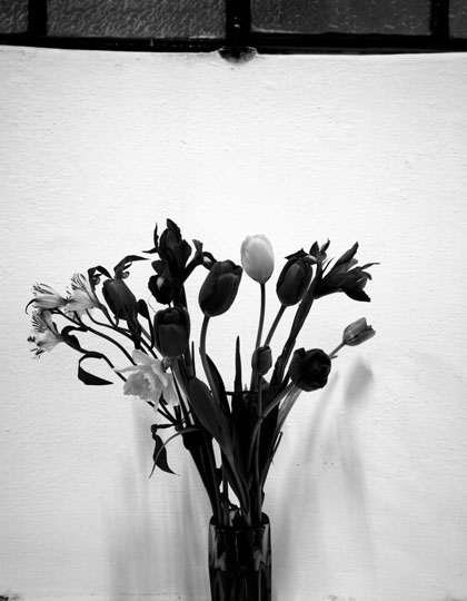Vaso di fiori alla finestra © Efrem Raimondi. All rights reserved.