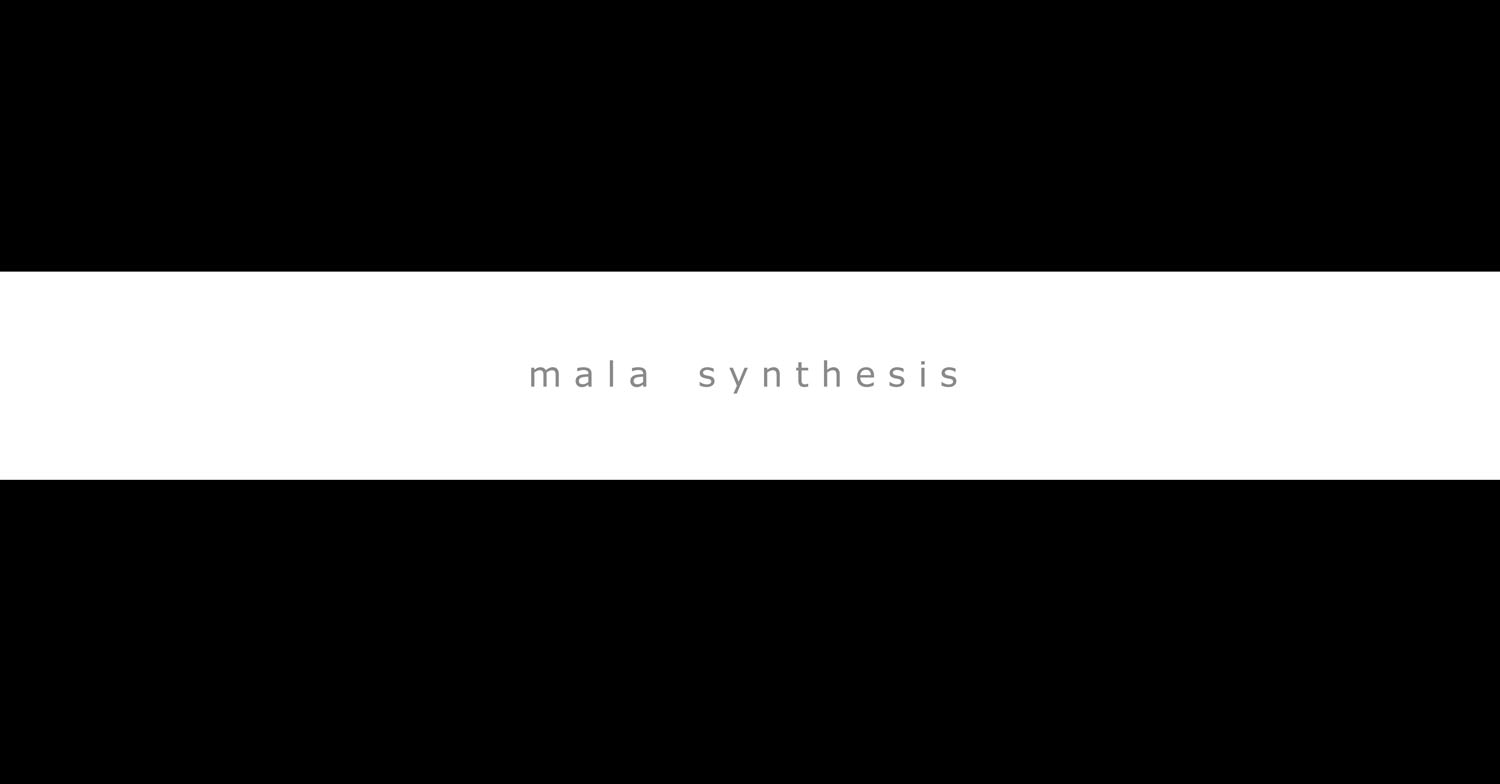 mala synthesis - Efrem Raimondi